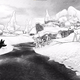 A screenshot from Casus Ludi's narrative adventure game Blanc, showing a wolf cub and a fawn against a monochromatic, frosty environment.